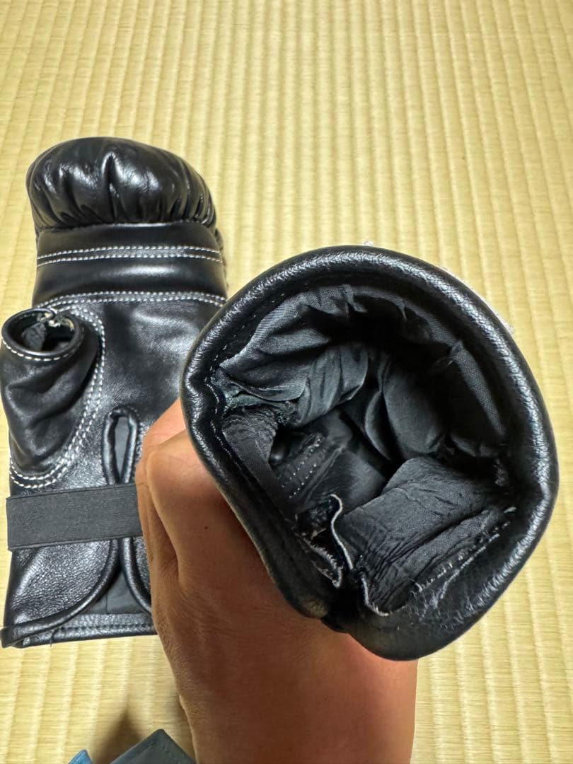 The K キングスポーツ パンチンググローブ バッググローブ K-Bag