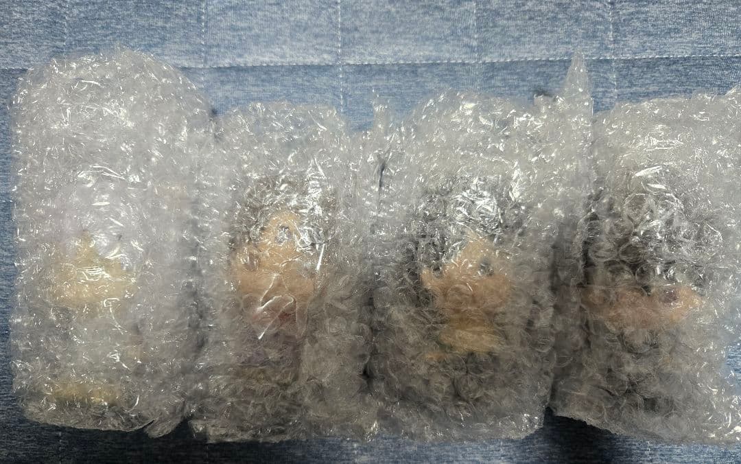 一番くじ 幽遊白書 暗黒武術会編 B賞 鴉　 ソフビコンプ ラバー螢子、鴉の爆弾