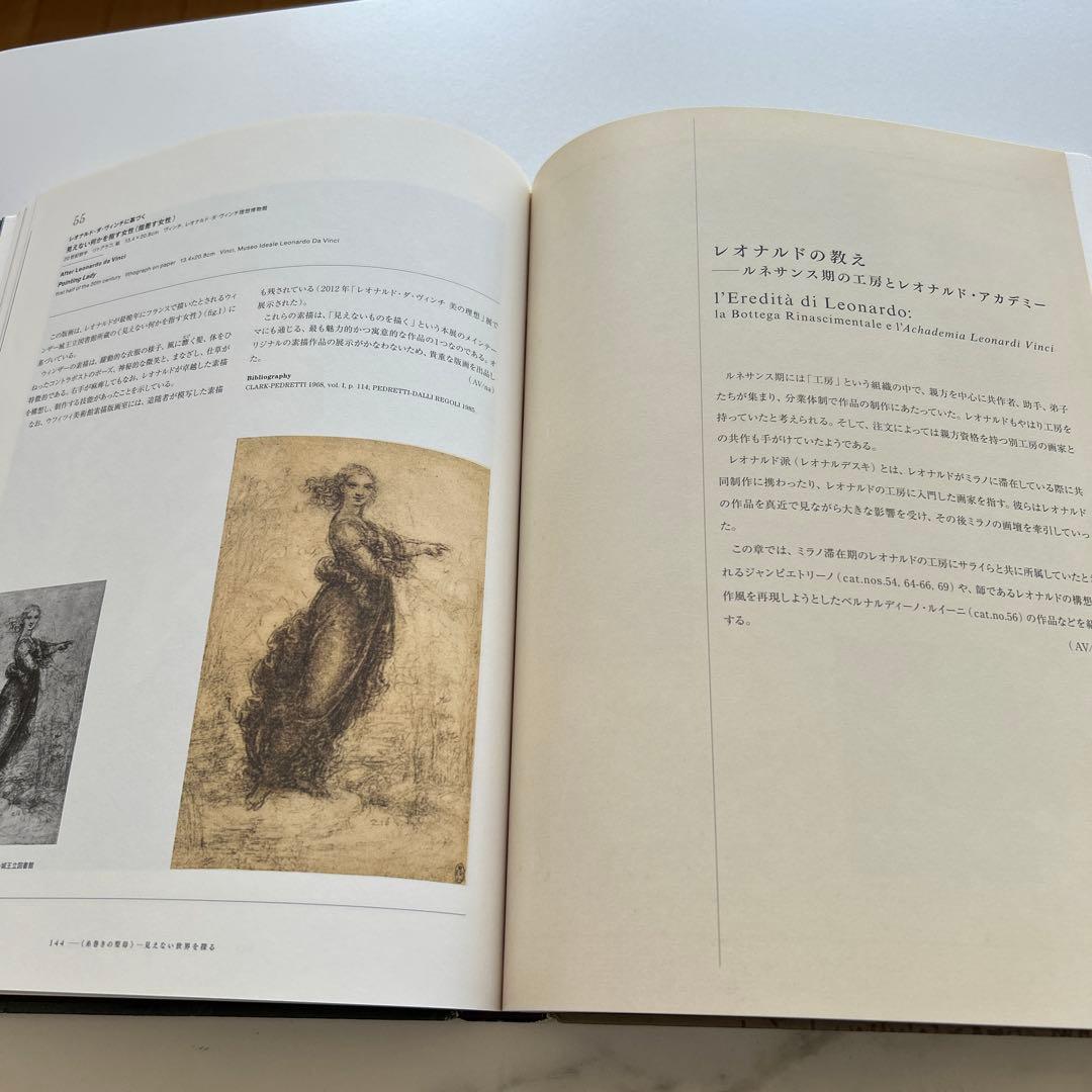 書 LEONARDO DA VINCI BEYOND THE VISIBLE