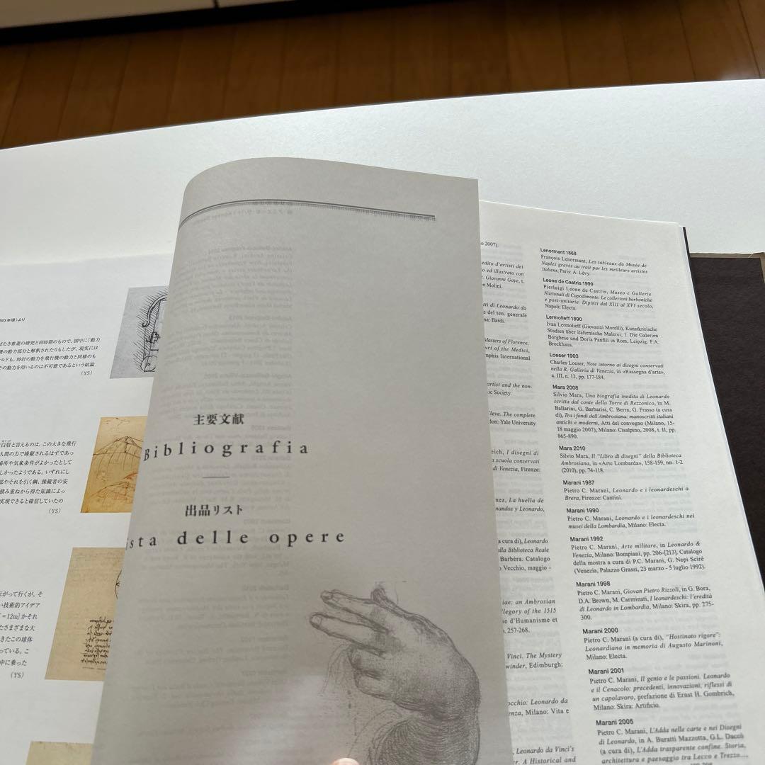 書 LEONARDO DA VINCI BEYOND THE VISIBLE