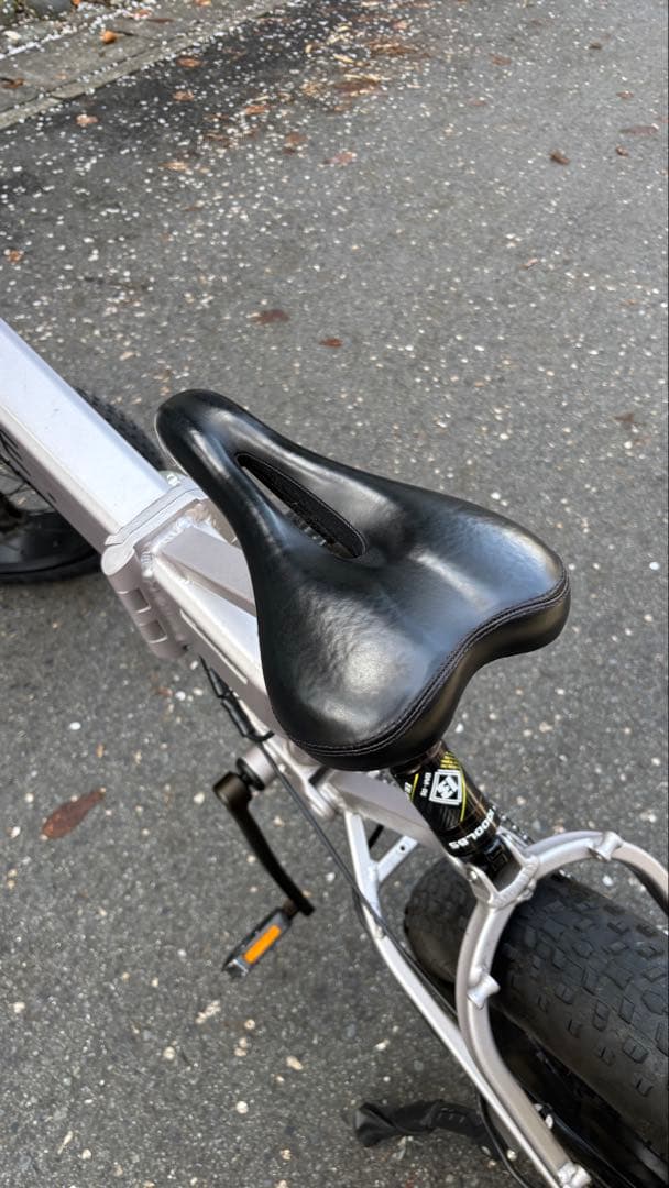 【希少カラー】MATE BIKE X Stering Moss