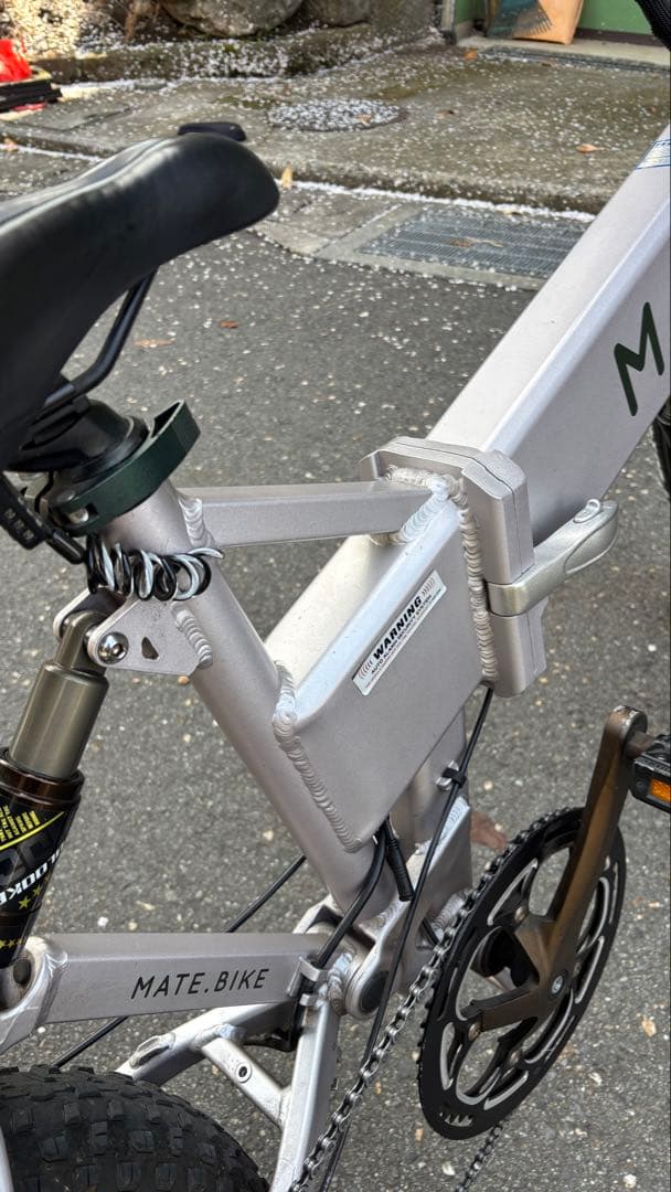 【希少カラー】MATE BIKE X Stering Moss