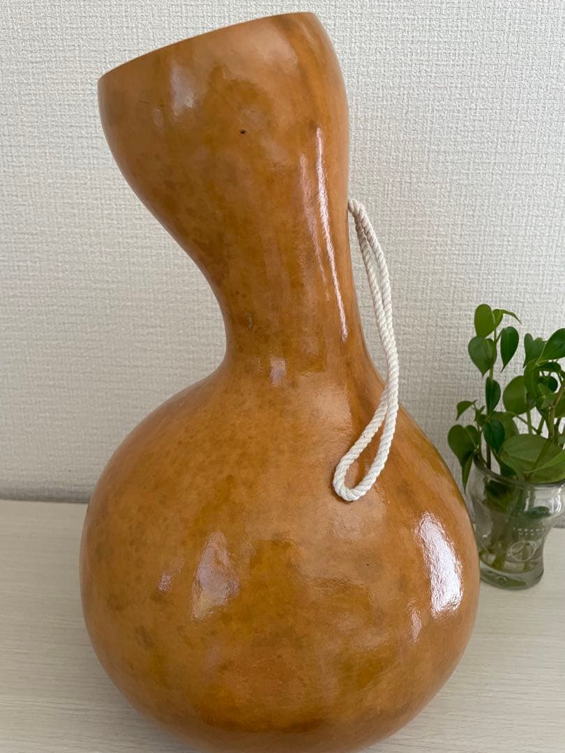 イプ　フラダンス　Hawaii楽器