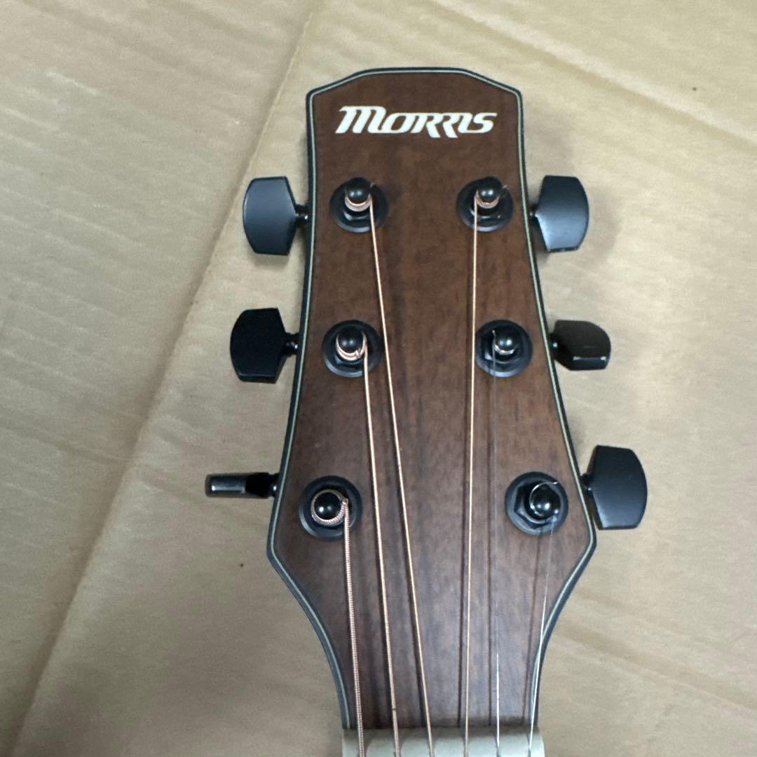 ②morris アコースティックギター