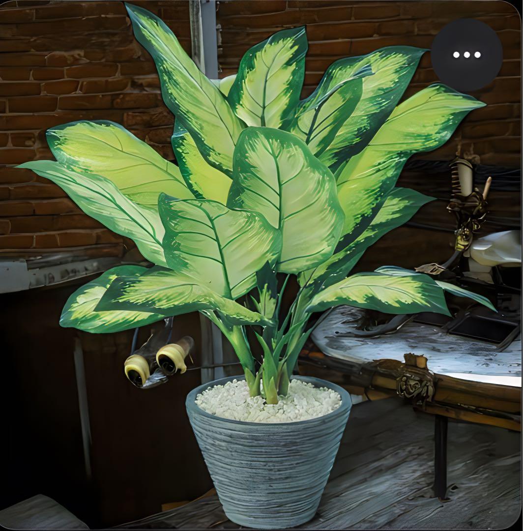 光触媒　人工観葉植物　フェイクグリーン　ディフェンバギアカミーラ50