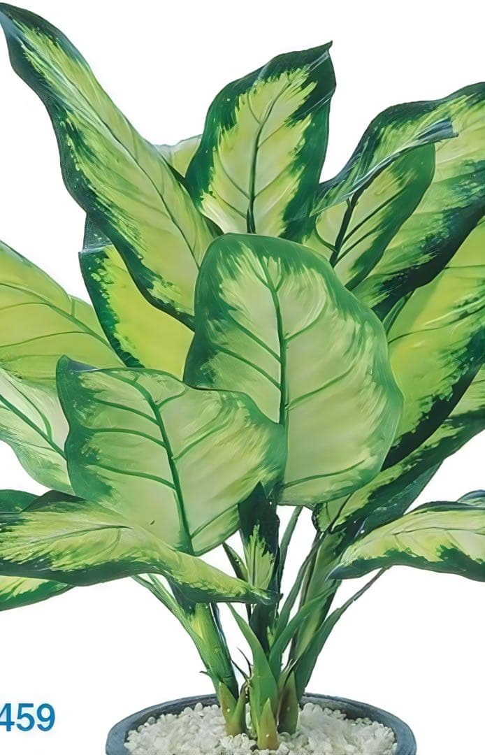 光触媒　人工観葉植物　フェイクグリーン　ディフェンバギアカミーラ50