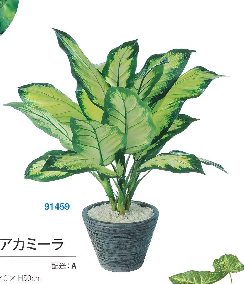 光触媒　人工観葉植物　フェイクグリーン　ディフェンバギアカミーラ50