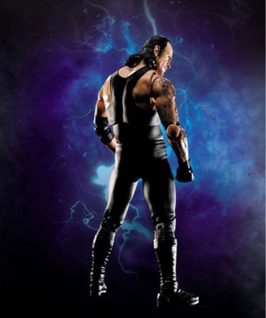 バンダイ S.H.フィギュアーツ アンダーテイカー　WWE