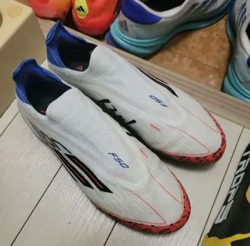 F50 エリート　LL FG SON