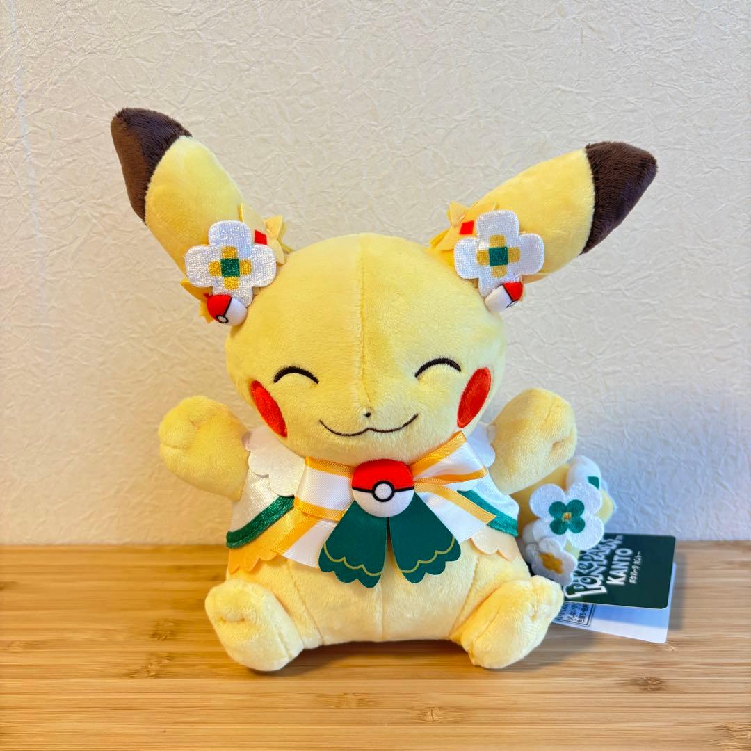 ポケパーク限定 ピカチュウ ぬいぐるみ 2体セット カーニバル