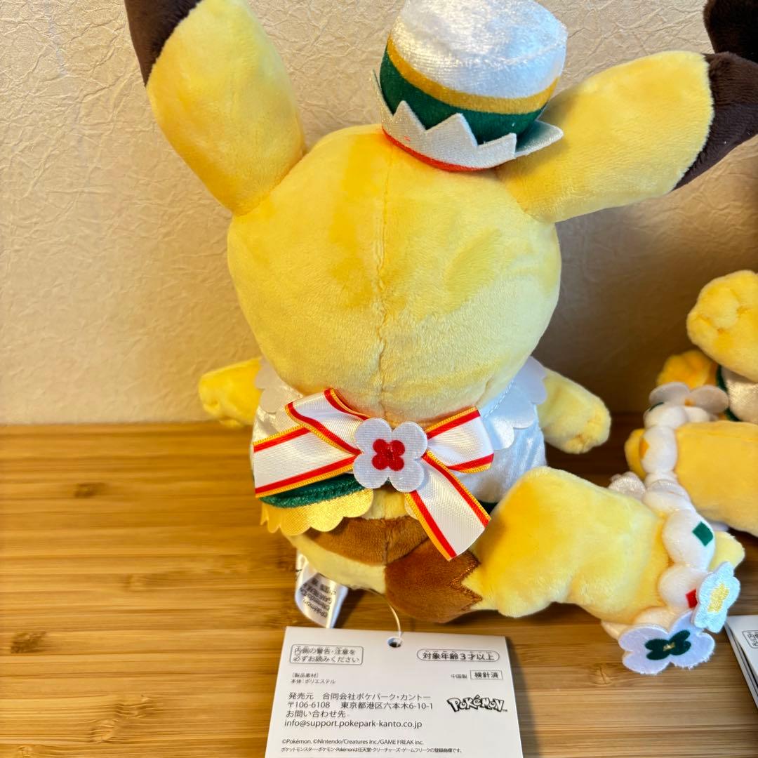 ポケパーク限定 ピカチュウ ぬいぐるみ 2体セット カーニバル