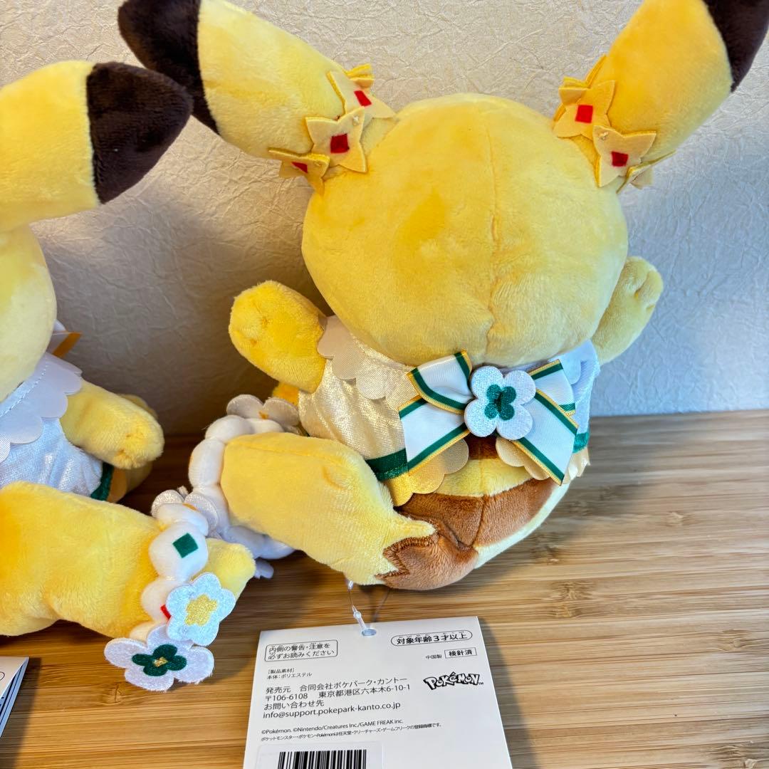 ポケパーク限定 ピカチュウ ぬいぐるみ 2体セット カーニバル