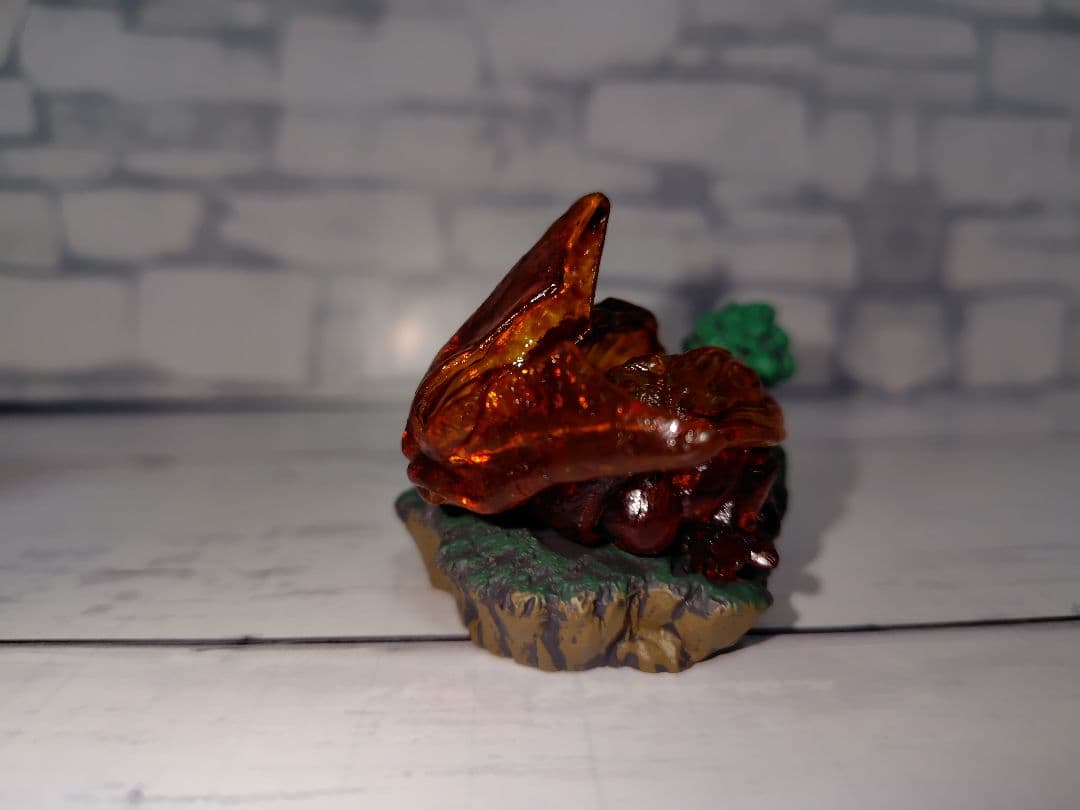 ドラカプ セルの抜け殻