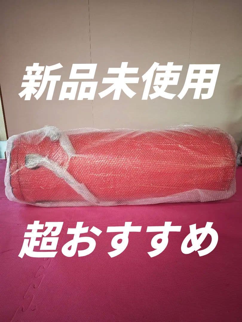 新品未使用 サンドバッグ 早い物勝ち