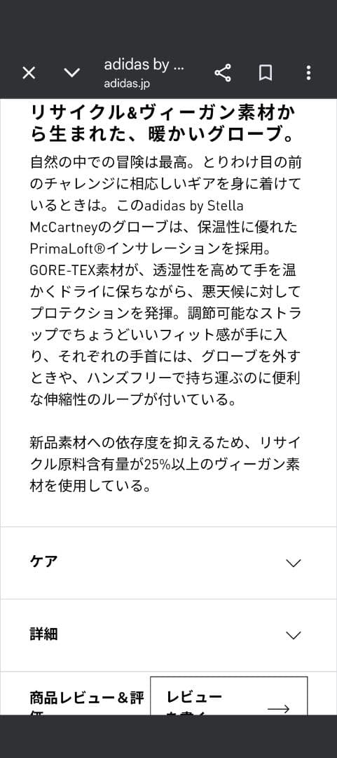 adidasbyStellaMcCartney　テレックスゴアテックグローブ