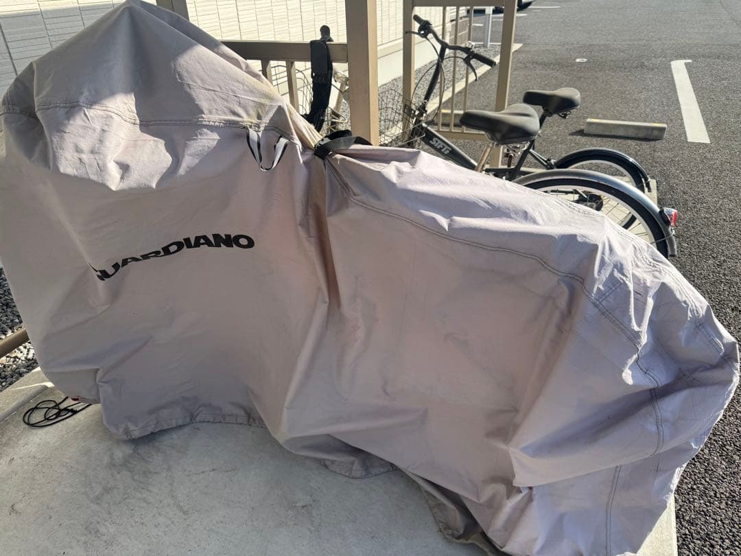 【中古美品】ブリヂストン 電動自転車 アルベルトe L型【送料込】＋αもたくさん
