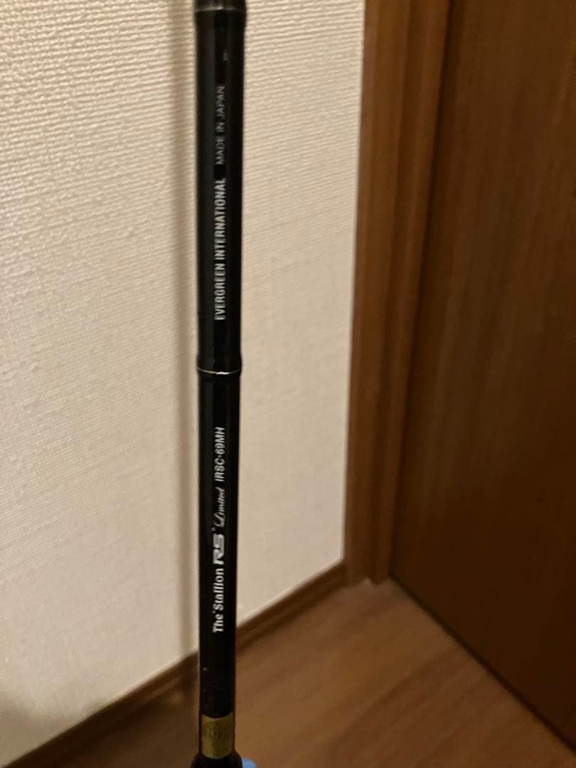 エバーグリーン　カレイドインスピラーレ69MH スタリオンRS Limited