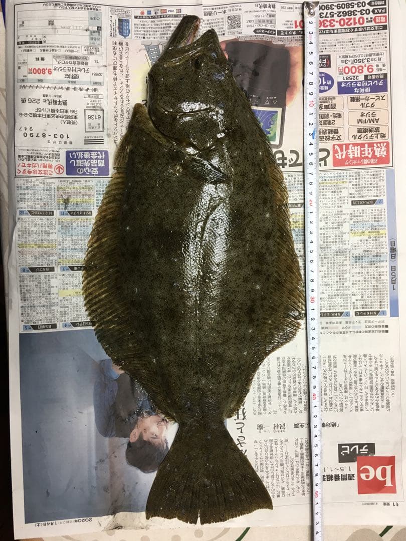 アナリスターカレイ180 並継船竿