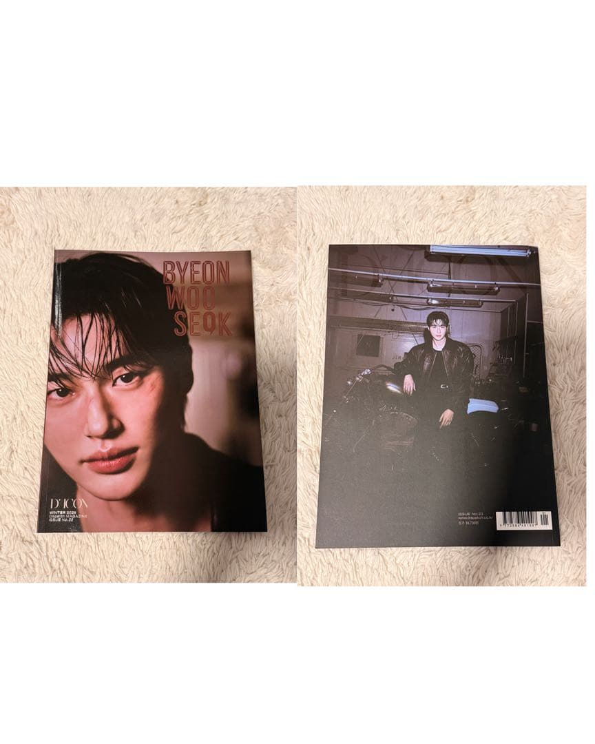 ビョンウソク 写真集 DICON セット