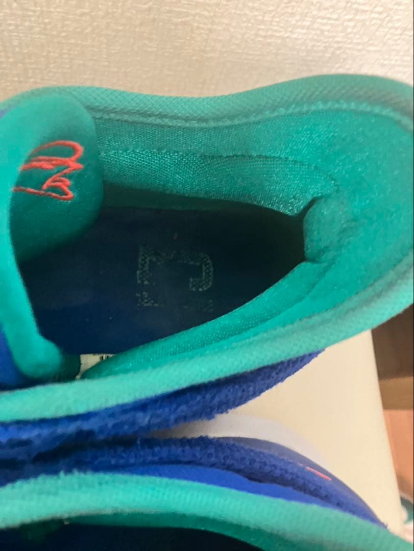 【大人気】　NIKE pg2.5 ep ポールジョージ　NBA バッシュ