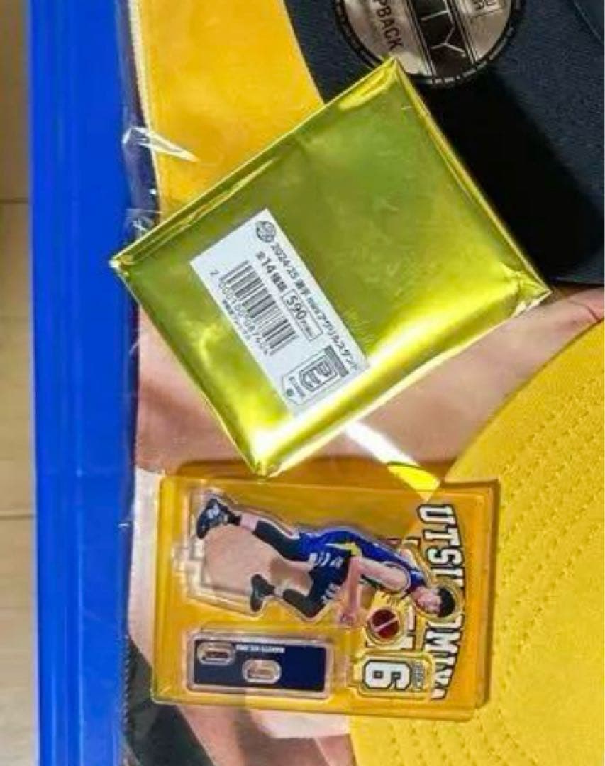 SC 宇都宮ブレックス カーサイン