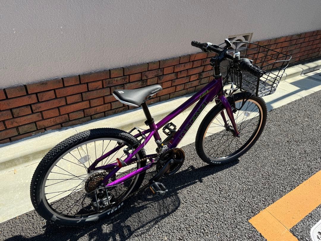 子供用自転車【本格的マウンテンバイク】