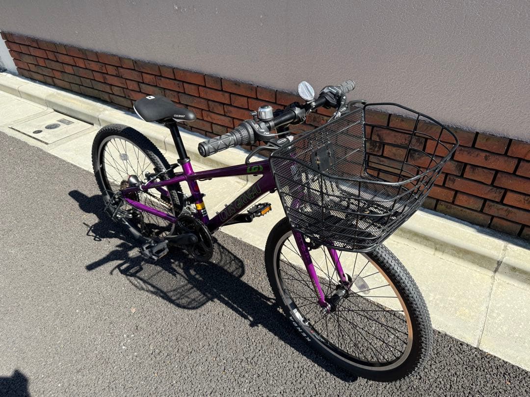 子供用自転車【本格的マウンテンバイク】