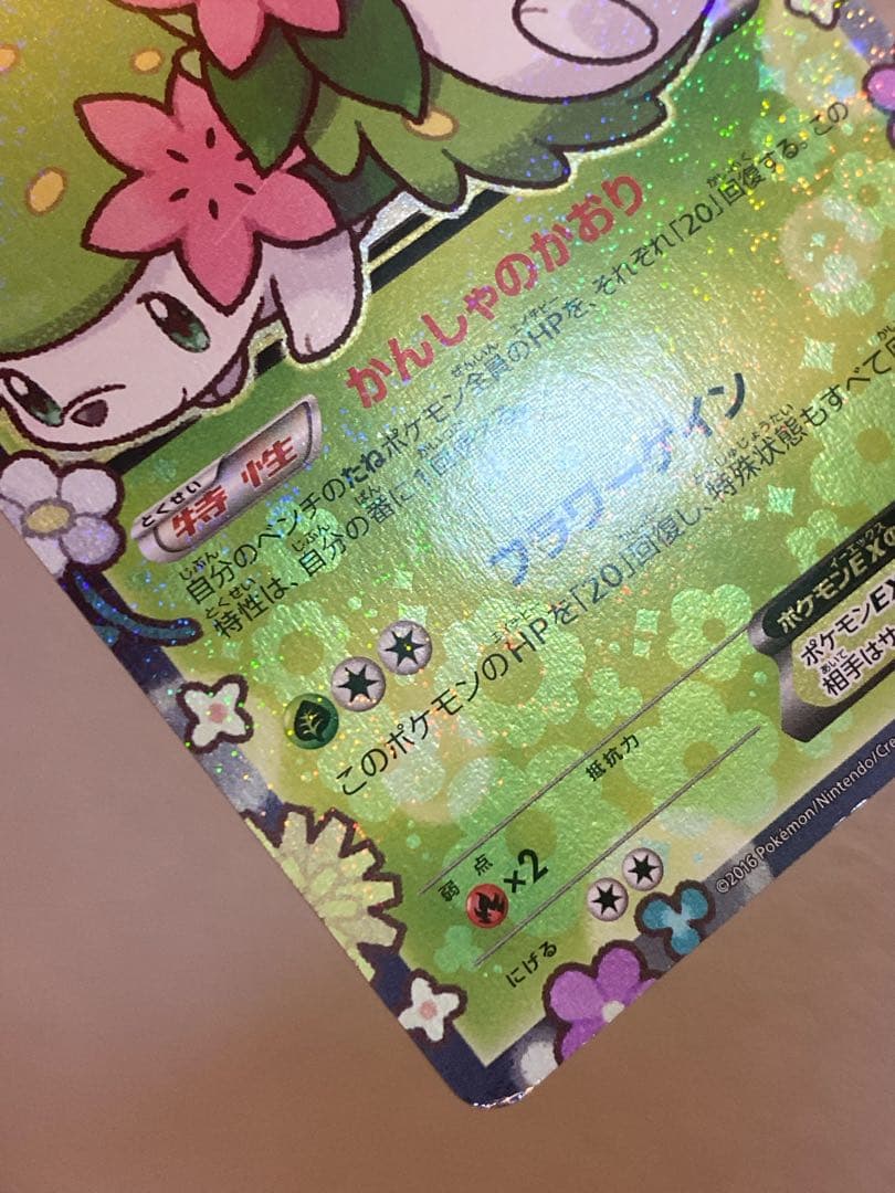 シェイミEX プロモ ポケキュンコレクション プレミアムポケキュンセット