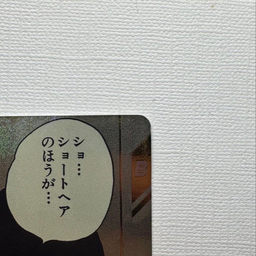 ドラゴンボール ダイバーズ アドバンスパック ビーデル APT-024 パラレル