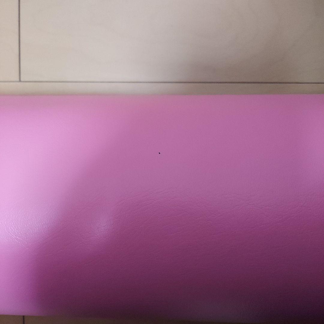 美品 ストレッチポールEX ピラティス LPN社製 StretchPole ヨガ