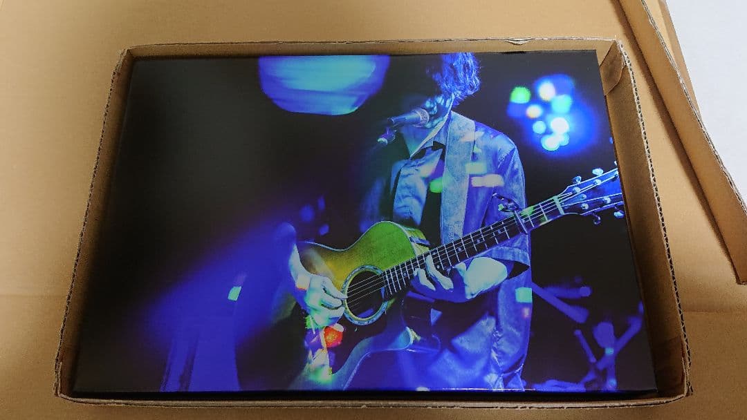 TK from 凛として時雨 Studio Live木製パネル [02]