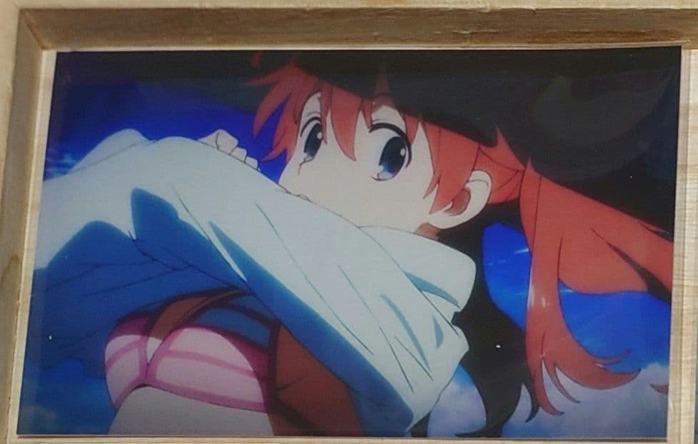 ダリフラ アニメイト全巻購入特典ポートレート＆フォルダ アマゾン布ポスター付き