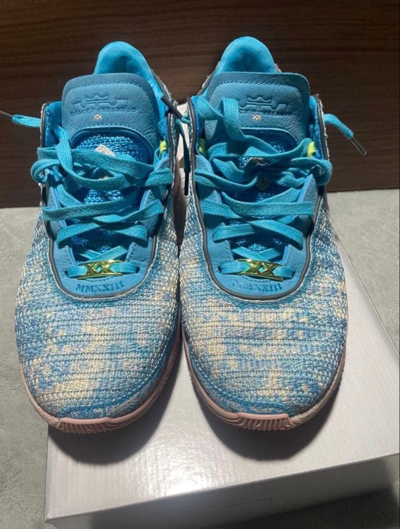 Nike LeBron 20 All-Star 29cm レブロン20