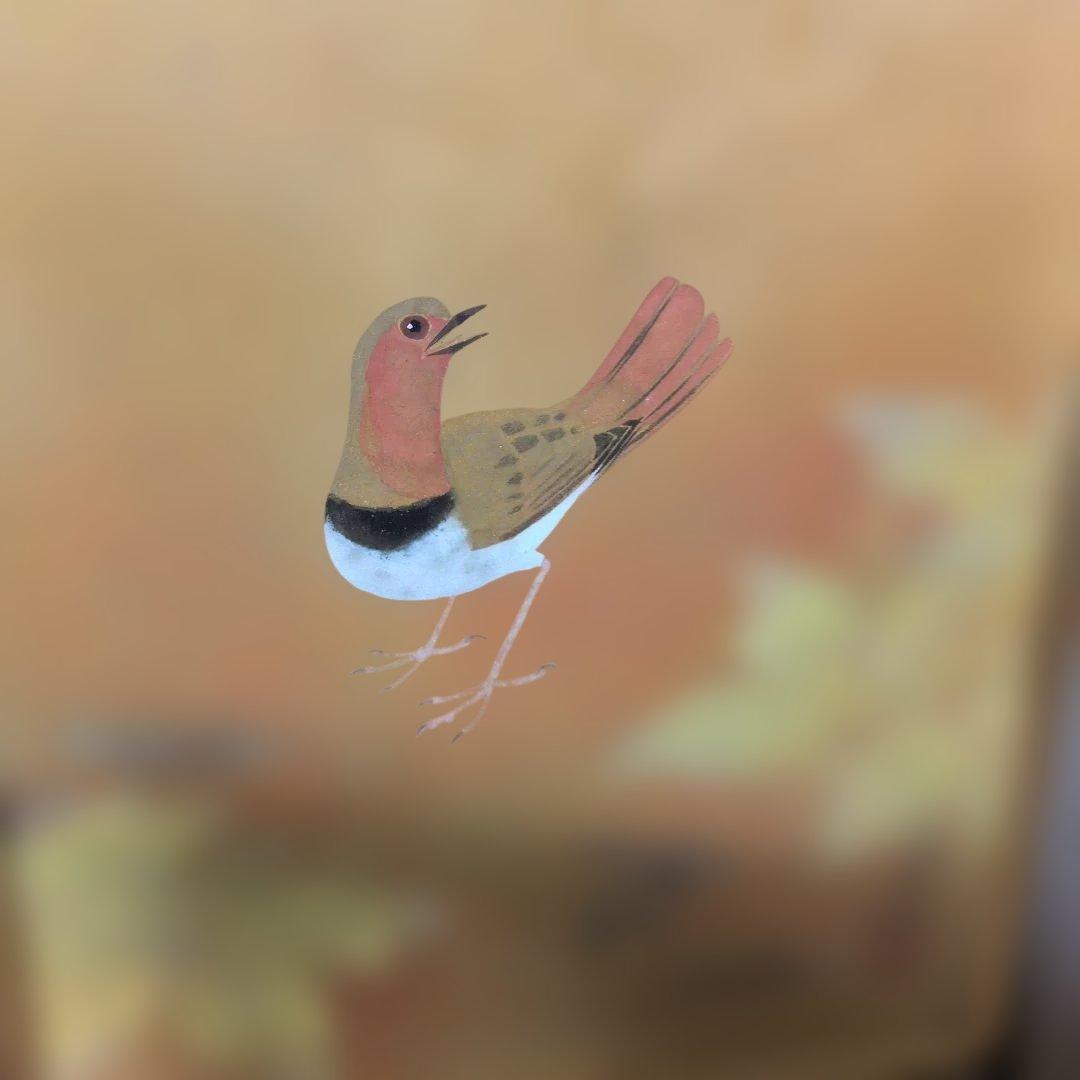 野々内良樹　駒鳥(コマドリ)