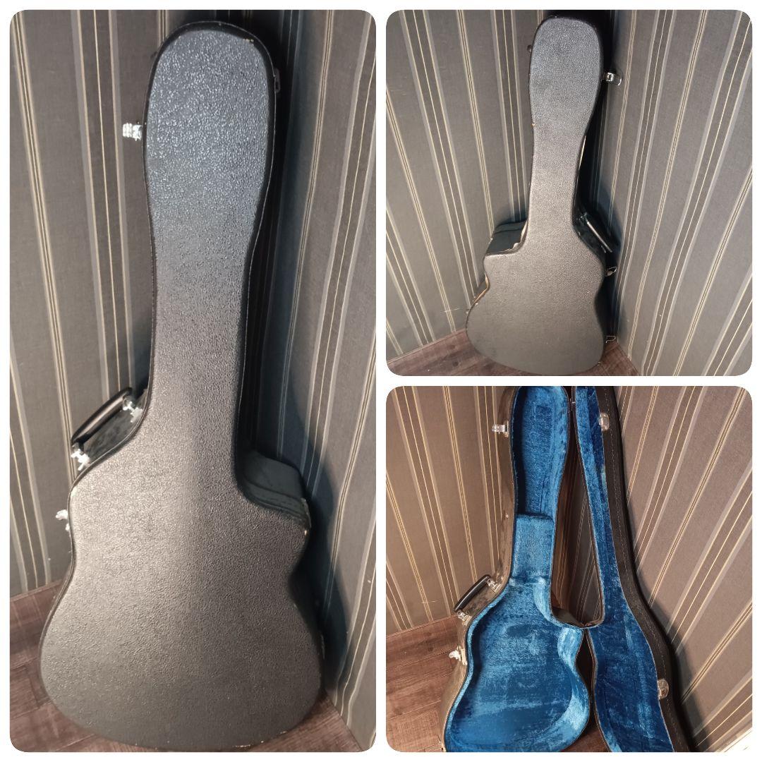 赤トラ目 美品 エレアコ TAKAMINE NPT-110 ギター ケース付