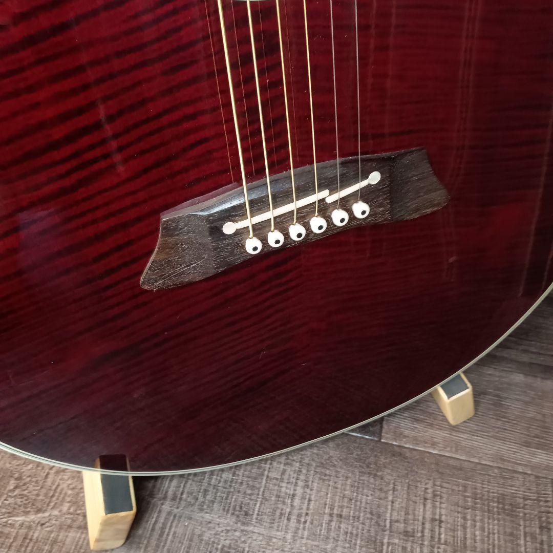 赤トラ目 美品 エレアコ TAKAMINE NPT-110 ギター ケース付