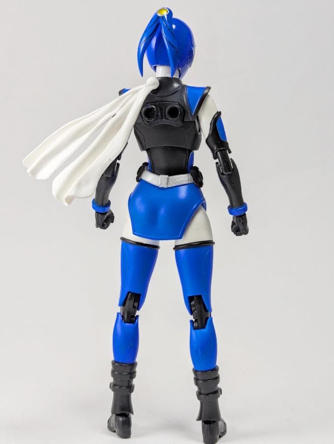 フィギュアーツ 非公認戦隊アキバレンジャー アキバブルー ＆ アキバイエロー