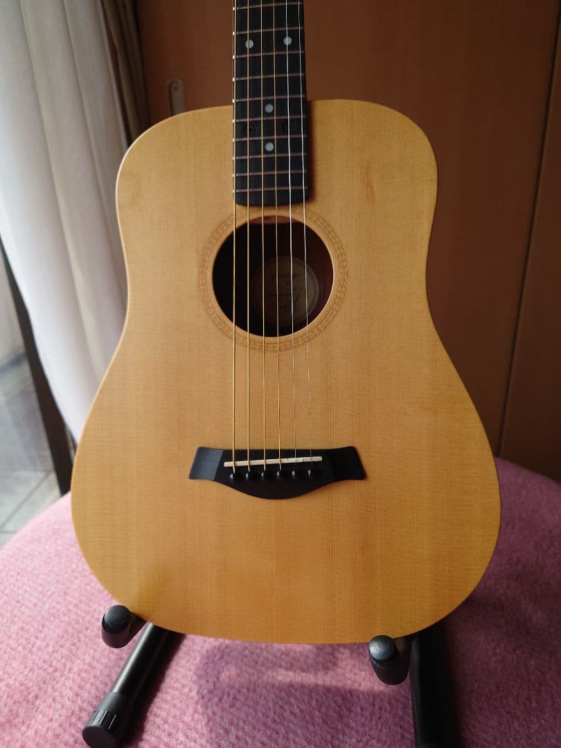 ​【純正ハードケース付】 Taylor Baby Taylor 301