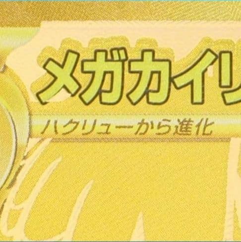 【魂抜けエラーカード】メガカイリューex MUR【鑑定済み】