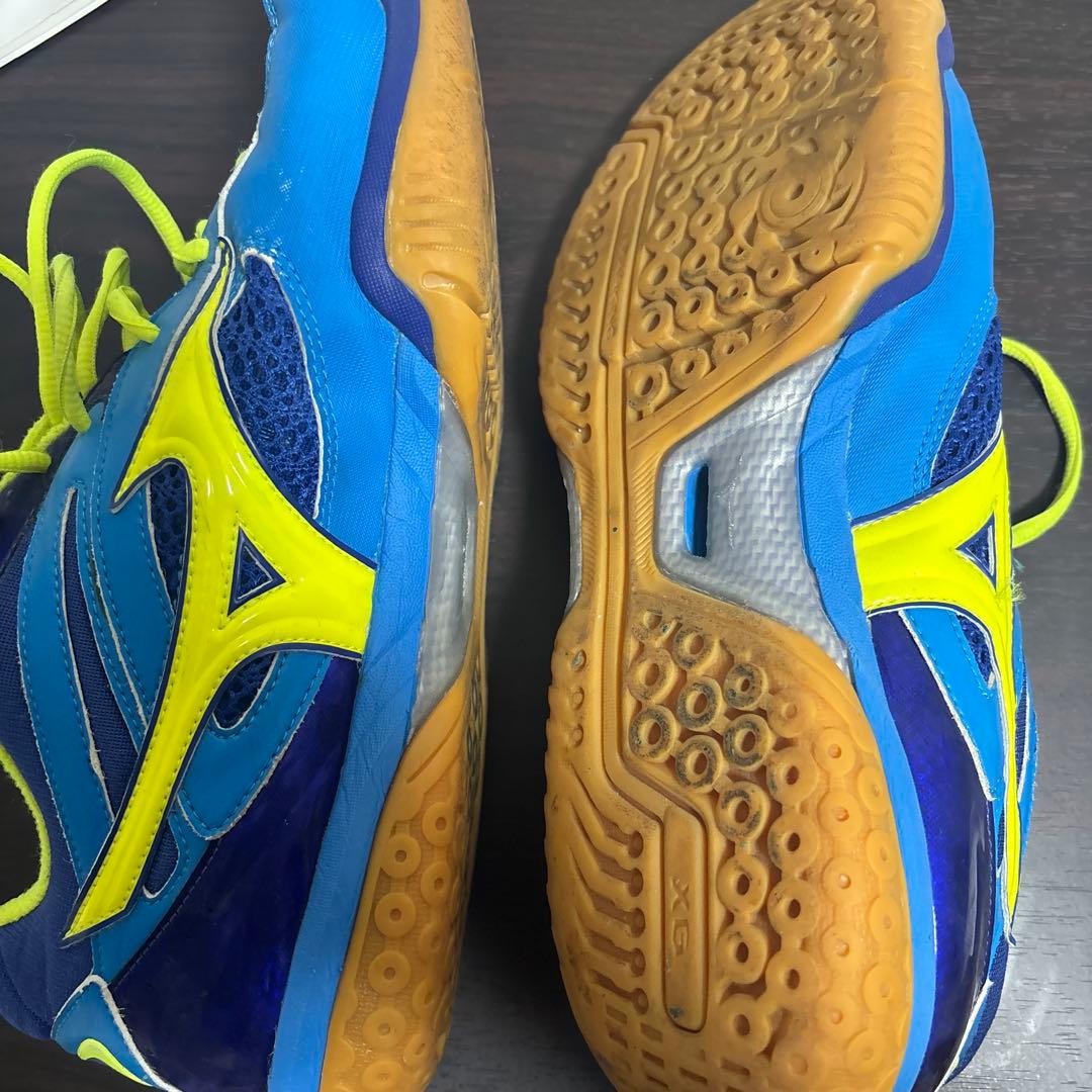 日本国旗入り バドミントン ミズノ シューズ