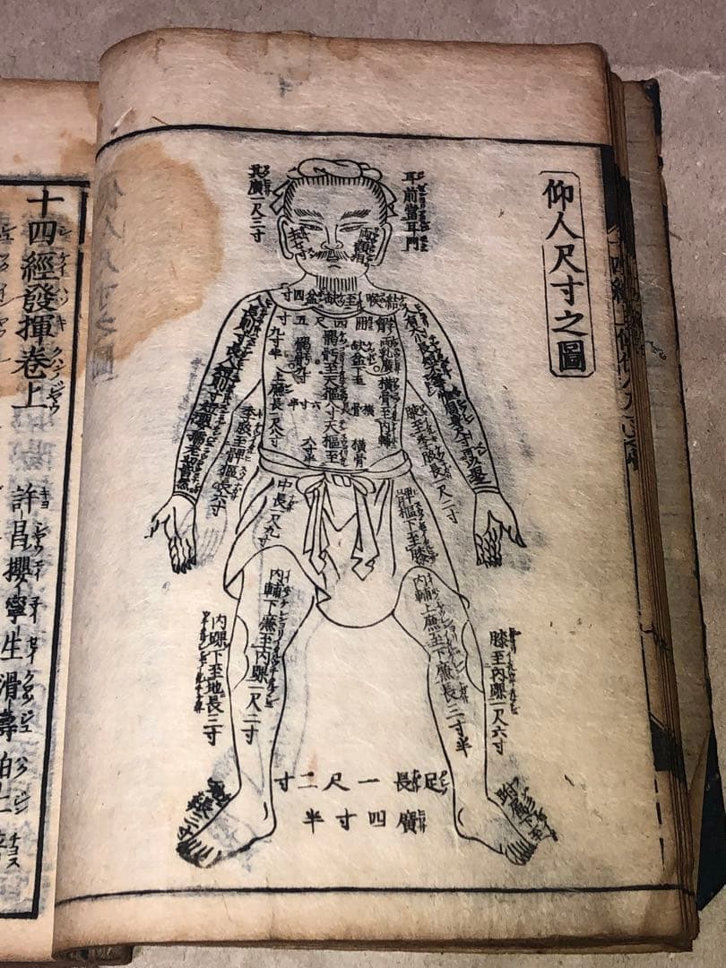 新刊十四経絡発揮 和本 古文書