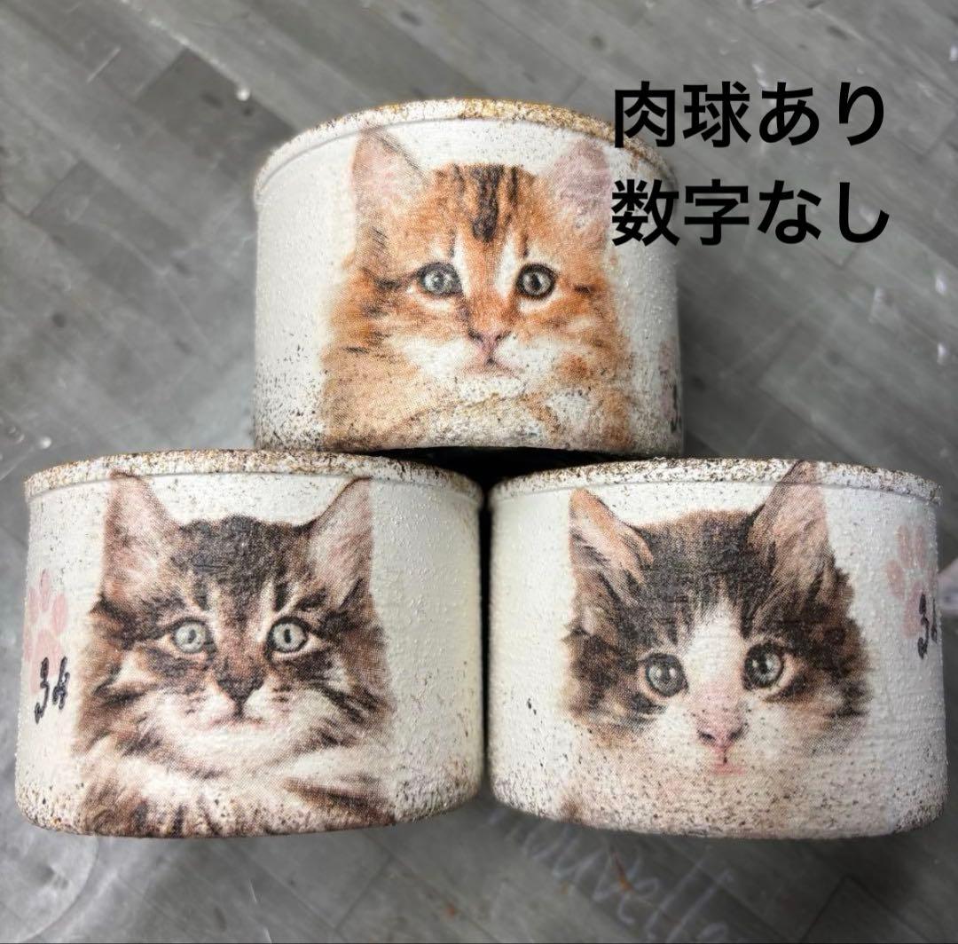 ふーこ様オーダーリメ缶　19個セット