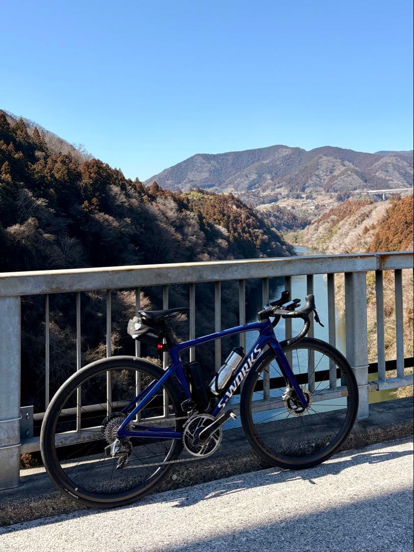 S-WORKS Tarmac SL7 Blue Tint 52サイズ