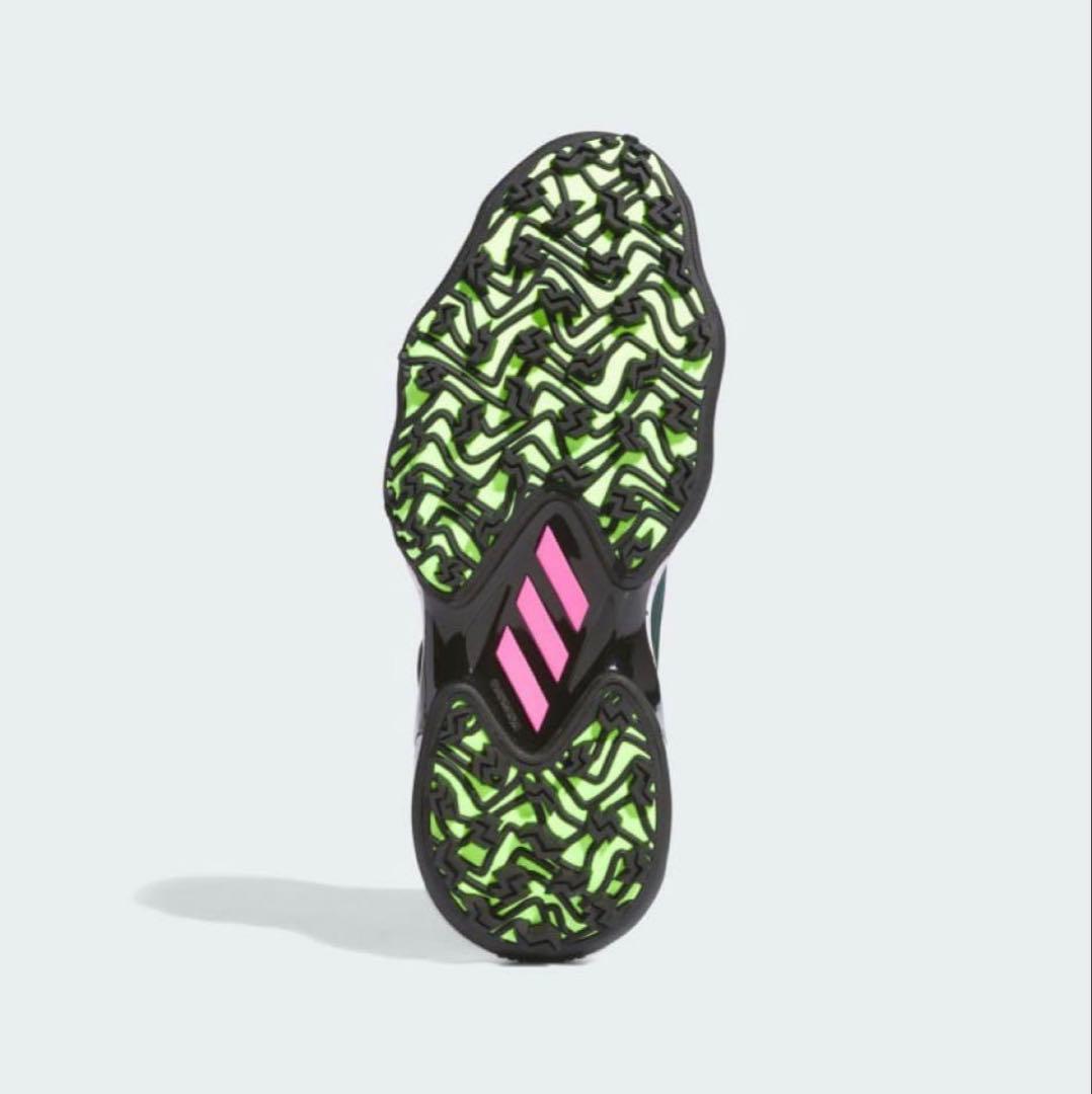 adidas CODECHAOS BOA 25 IG8706 ゴルフシューズ