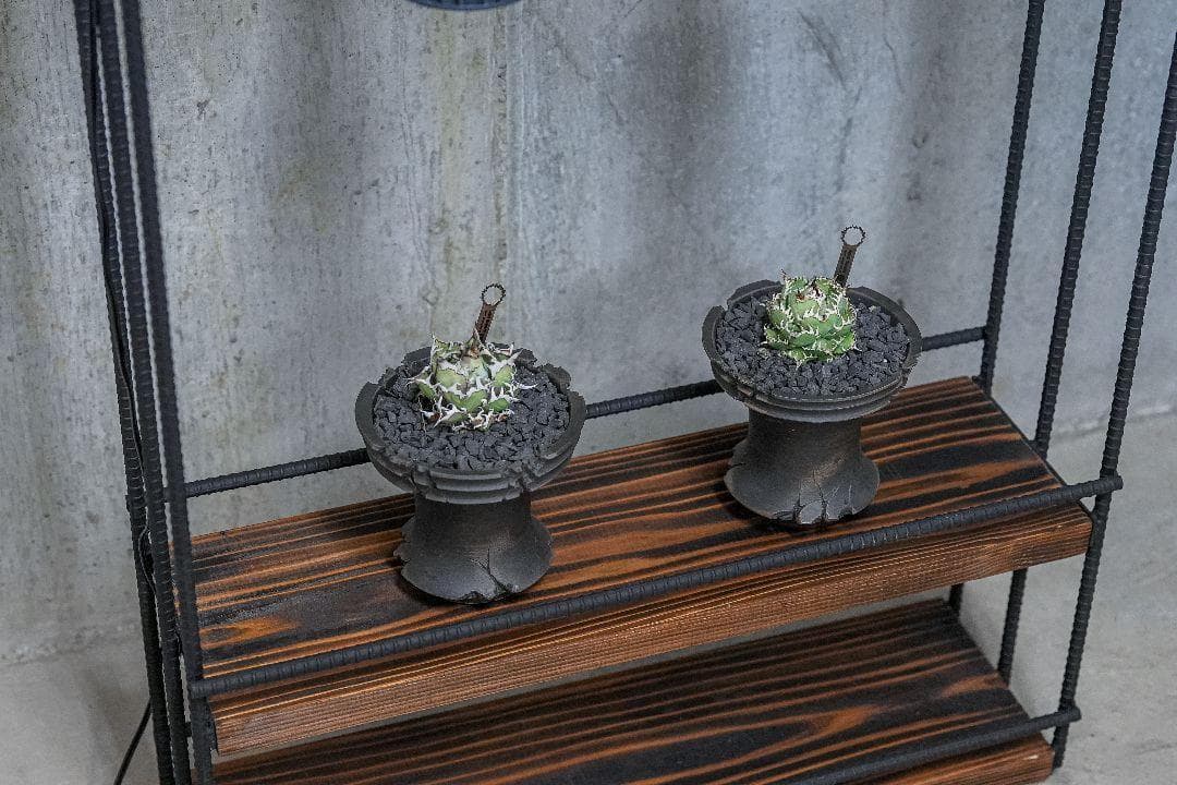サ*ス様 植物育成棚　ダクトレール付き アイアンシェルフ　男前インテリア 092