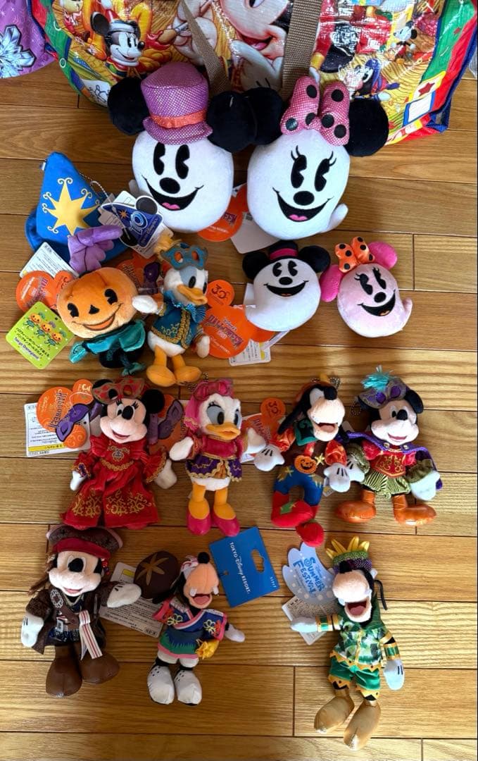 レ*ン様 ディズニー　新品　ぬいぐるみ　ミッキー　ミニー　マスコット　30周年