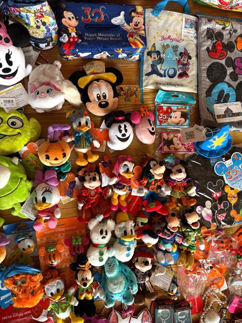 レ*ン様 ディズニー　新品　ぬいぐるみ　ミッキー　ミニー　マスコット　30周年