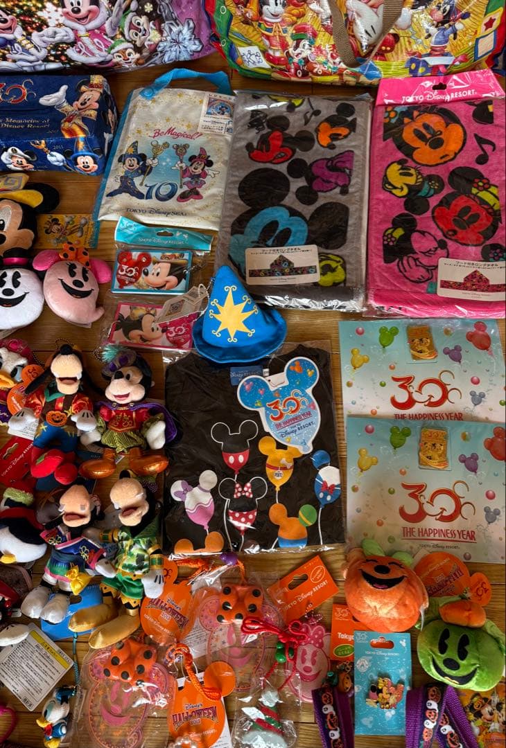 レ*ン様 ディズニー　新品　ぬいぐるみ　ミッキー　ミニー　マスコット　30周年