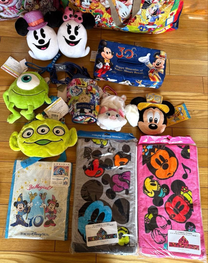 レ*ン様 ディズニー　新品　ぬいぐるみ　ミッキー　ミニー　マスコット　30周年