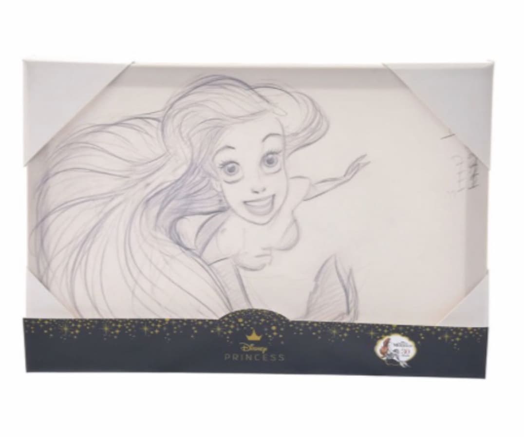新品☆Disney ディズニー アリエル アートボード インテリア